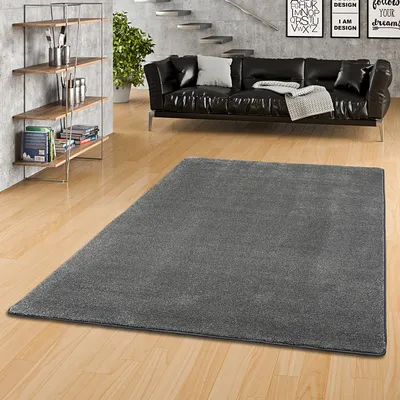 Produktbild von Hochflor Luxus Velours Teppich Touch Anthrazit, Größe:400x500 cm
