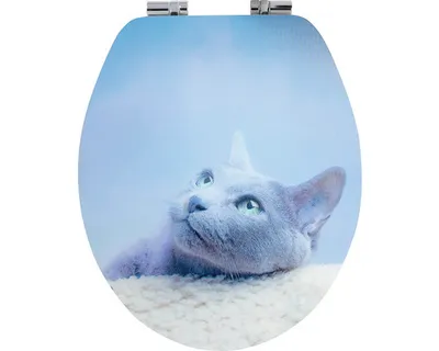 Obrázek produktu pro Záchodové prkénko Ferro decor WC/SOFT3D