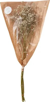 Produktbild von BUTLERS Trockenblume FLOWER MARKET Schleierkraut