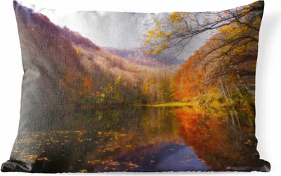 Produktbild von MuchoWow® Outdoor Kissen - Natur - Wald - Herbst - 50x30 cm - Wetterfest - Lounge Kissen - Sofa kissen - Wohnzimmer Dekoration