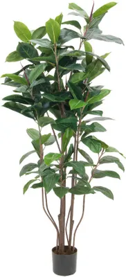Obrázok produktu pre EUROPALMS Gumovník, umelá rastlina, 150 cm (82600151)