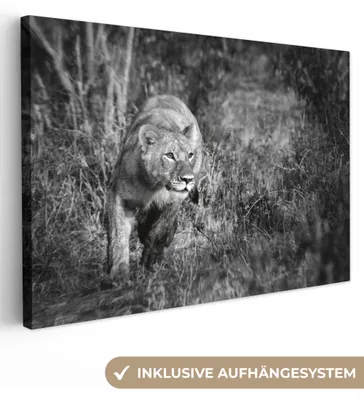 Obrázok produktu pre OneMillionCanvasses® - Plátna - 140x90 cm, Levice - Lov - Zvieratá, nástenné dekorácie