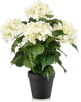 Produktbild von artplants.de Kunstblume Hortensie DORJA im Dekotopf, weiß-grün, 40cm - Künstliche Hydrangea