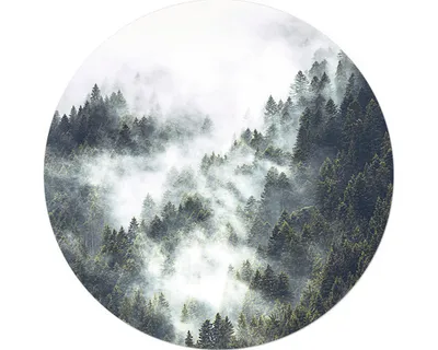 Produktbild von Glasbild Mystic Forest V Ø 50 cm