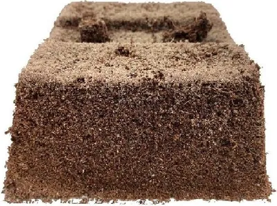 Produktbild von OASIS®® TerraBrick™ Floral Media, 8 Steckmoos im Papiertray - Steckziegel