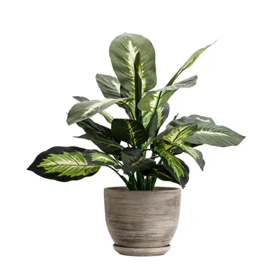 Immagine prodotto di Vaso in Vetroceramica Round con piattino grigio scuro 16 cm lucido con foro di drenaggio