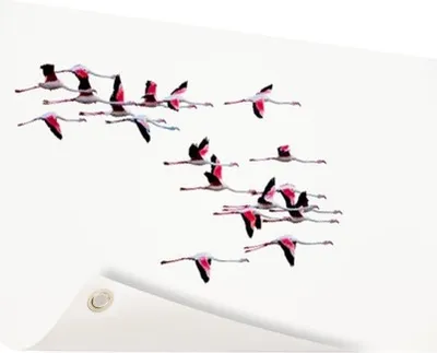 Produktbild von Gartenposter - 120x80 cm - Fliegende Flamingos  - Modernes Wandbilder