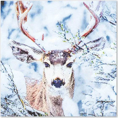 Serviettenmotiv ein Hirsch mit imposantem Geweih steht im verschneiten Wald zwischen schneebedeckten Ästen und blickt direkt in die Kamera