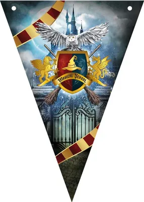 Image de Guirlande Wizard - Harry le Magicien - 300 cm