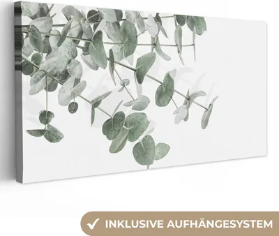 Obrázok produktu pre MuchoWow® - Plátno - Eukalyptus - Listy - Príroda - Zelená, nástenná maľba, nástenné dekorácie obrazy obývacia izba, 40x20cm