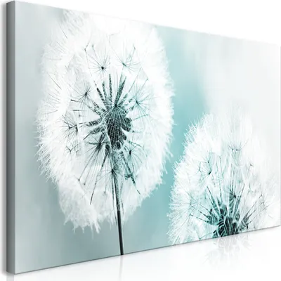 Produktbild von Wandbild Mega XXXL Pusteblume 250x125 cm Einteiliger XXL-Format Kunstdruck zur Selbstmontage Leinwandbilder moderne Bilder DIY Wanddekoration Wohnung Deko Blumen Natur b-B-0223-ak-h