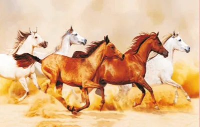 Produktbild von TischSet 3 D Pferde Platzset 2erSet Platzdeckchen Poster Bilder Tier Pfer Pony