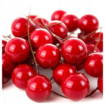 Produktbild von Czakos Rote Hagebutten-Frucht-Deko für Gestecke 602856