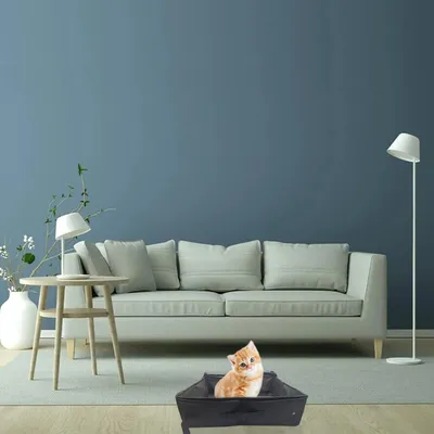 Produktbild von Opvouwbare Kattenbak met Deksel - Waterdicht & Draagbaar - Zwart - XL