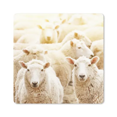 Produktbild von MuchoWow® Mauspad Mousepad Schafe - Wolle - Weiß 20x20 cm - Mousepads - Maus Mat - Pad - Mausunterlage - Desk Mat - Bureauartikeln