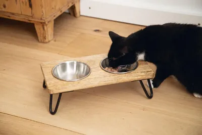 Produktbild von Designed by Lotte Linga - Dinerset Katze - Holz/Metall - Inkl. 2 Napfen