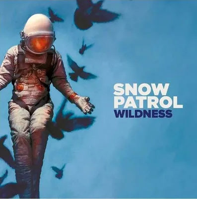 Zdjęcie produktu dla ImportCDs Wildness, Pop rock, Winyl, Nośnik fizyczny, Dorosły, 1 dysków, 24/05/2018