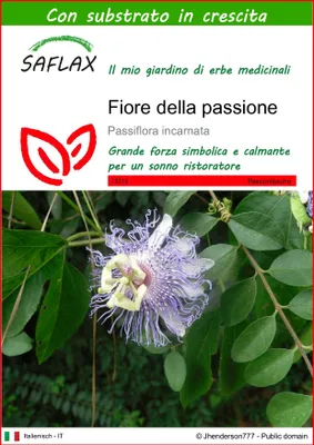 Immagine prodotto di SAFLAX - Fiore della passione - 5 semi - Con substrato - Passiflora