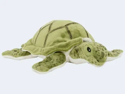 Produktbild von Plüschtier Wasserschildkröte 30 cm Schildkröten Stofftiere Kuscheltiere Schildkröte