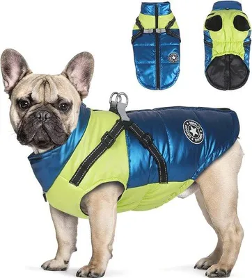 Produktbild von Famanu Hundejacke für kleine und mittelgroße Hunde - Wasser- und winddicht