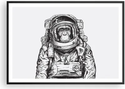 Produktbild von Gerahmtes Poster - Schwarzer Rahmen - Schimpanse Astronaut Zeichnung - 100x70 cm - Wand Bild - Wanddeko - Wandbilder - Wandposter - Bilderrahmen - Bilder - Kunstdruck - Wandbild - P2BAA100x70-4312