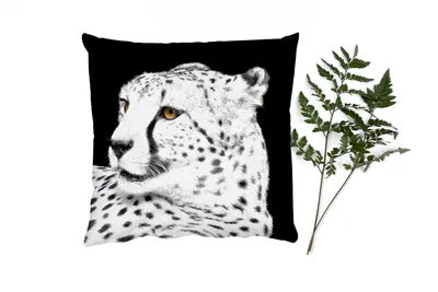 Produktbild von MuchoWow® Zierkissen Sofakissen Wohnzimmer Dekokissen 60x60 cm Leopard - Weiß - Schwarz - Sitzfläche - Foto Polster