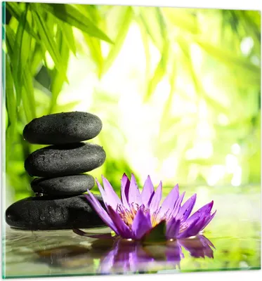 Produktbild von Bilder auf glas - Spa bambus blume wasser - 40x40cm - Glasbilder - Wandbilder - Kunstdruck - zum Aufhängen bereit - Wanddekoration aus Glas - Glas Bilder - Wandbild auf Glas - GAC40x40-2477