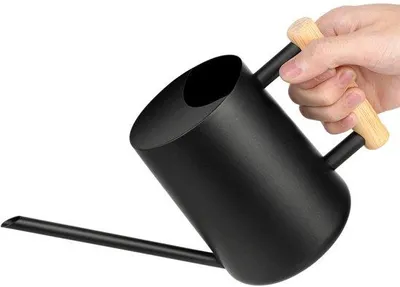 Productafbeelding van Ibenzoa® RVS gieter van 1 liter met lange tuit en ergonomische houten handgreep – robuuste metalen gieter voor kamerplanten en vetplanten