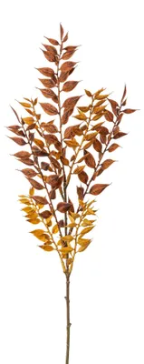 Produktbild von Kunstpflanze RUSCUSZWEIG 50cm. Mäusedorn in Trockenblumenoptik. BRAUN
