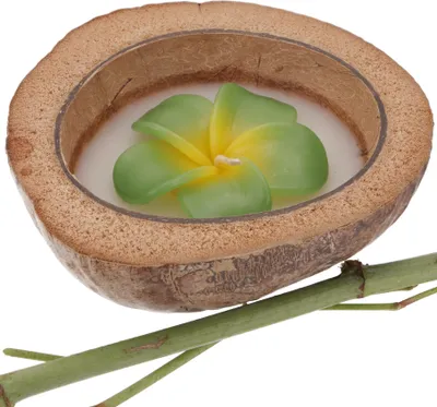 Produktbild von Exotische Duftkerze Kokosnuss 15 cm mit Blütenkerze - Kokos Frangipani, Braun, Kokosnuß, Kerzen