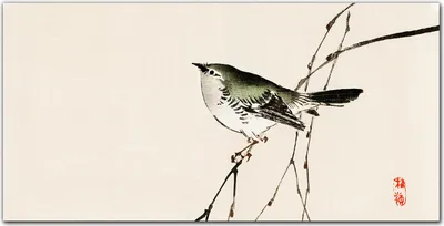 Produktbild von Coloray Bild aus Acryl 120 cm x 60 cm - Dekoration Wohnzimmer Wanddekoration Gehärtetes Acryl Küche Acrylblock mit Bild - Zweige Tier Vogel