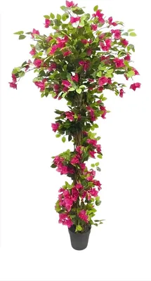 Produktbild von Künstlicher Bougainvillea Baum 185 cm – Dekorativer Kunstbaum mit Holzstamm & rosa Blüten – Für Innen- und Außenbereich – Weiß