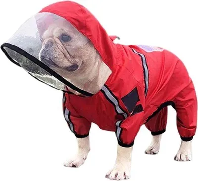 Produktbild von Regencape für Hunde mittlerer Größe mit Reflektorstreifen
