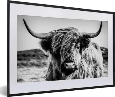 Produktbild von MuchoWow® Gerahmtes Poster Schottischer Highlander - Natur - Kuh - Schwarz - Weiß 60x40 cm - Poster mit Schwarzem Bilderrahmen Wandposter Rahmen Foto Bilder - Schlafzimmer - Plakat in Rahmen - Drucken
