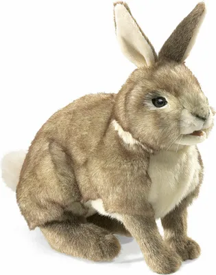 Produktbild von Folkmanis Handpuppe Kaninchen-Baumwollschwanz 35 cm
