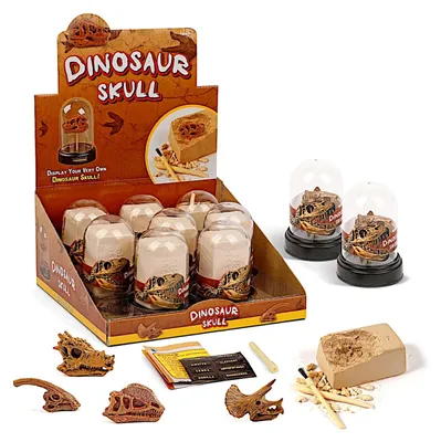 Dino-Schädel-Ausgrabungsset, 8-teilig - TOLLzWOOD