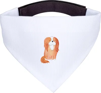 Produktbild von Mr. & Mrs. Panda Halstuch Hund Cavalier King Charles Spaniel - Weiß - Geschenk, Schlappohren, Sprüche, Hunde, Cockerspaniel, Tuch, Spruch, Hundehalstuch, Für