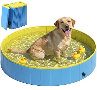 Produktbild von PawHut Hundepool für Große und Extra Große Hunde Faltbare 160 x 30 cm Blau