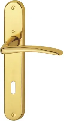 Produktbild von HOPPE Langschildgarnitur Istanbul M171/332P MS F71 OB 72mm DIN L/R - 844234