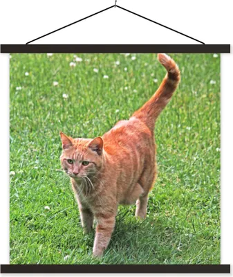 Produktbild von MuchoWow® Textilposter Katze - Rot - Katze - Mädchen - Kinder - Jungen - Kind 120x120 cm mit schwarzem Rahmen - Aufhängungsset