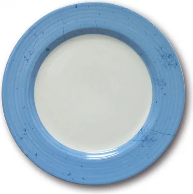 Obrázek produktu pro Sada talířů Prestige Bleu x 6 - D 31 cm