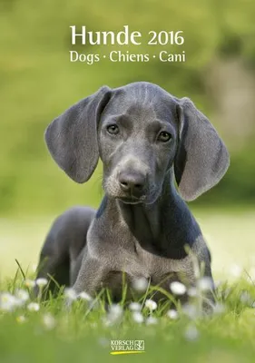 Produktbild von Hunde 2016