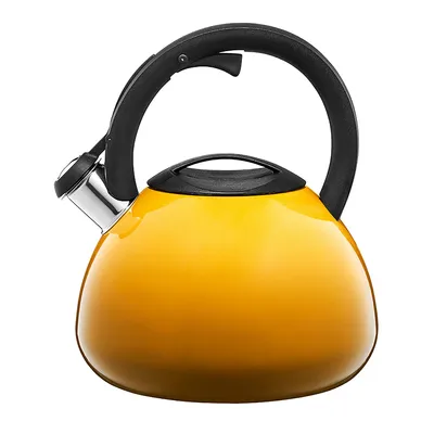 Produktbild von AMBITION Ombre 3 l - Edelstahl Teekessel / Wasserkessel mit Pfeife