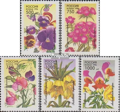 Produktbild von Briefmarken Russland 1996 Mi 480-484 (kompl.Ausg.) postfrisch Gartenblumen