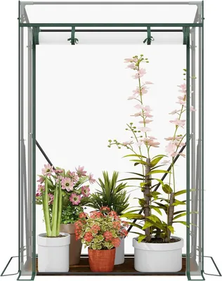 Image de Serre pour plantes en film PVC | Transparent | 100x50x150/136 cm