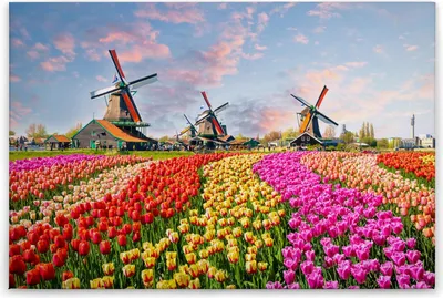 Produktbild von Leinwandbild Blumen 60 x 90 cm - Wandbild Landschaft Bunt Gelb Floral - Keilrahmen Wohnzimmerdeko Wanddeko Wandgemälde