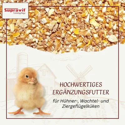 Produktbild von Supravit Kükengrütze 25 kg | Hochwertiges Ergänzungsfutter für Hühnerküken, Wachteln & Ziergeflügel | Premium Aufzuchtfutter für Küken von 0–6 Wochen