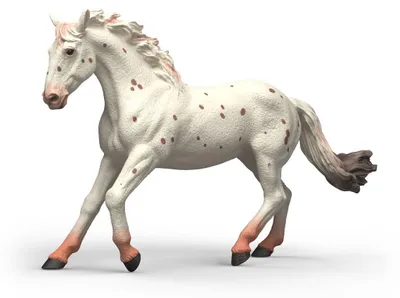 Produktbild von schleich BAYALA 14917, 5 Jahr(e), Mehrfarbig, Kunststoff