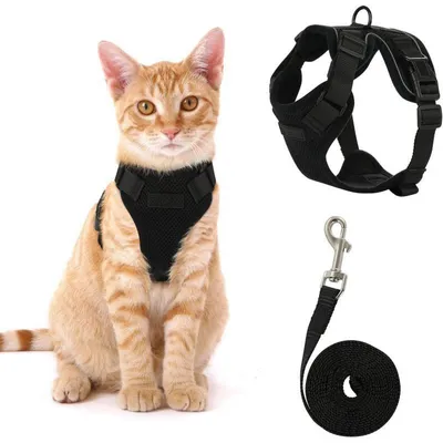 Image de Harnais pour chat avec laisse - Taille S - Harnais de chat réglable - Laisse pour chat - Avec bandes réfléchissantes - Pour les promenades et l'entraînement en extérieur
