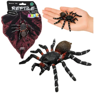 Produktbild von Spinnen-Vogelspinne Gummifigur Dehnbar Realistisch Schwarz 10 cm